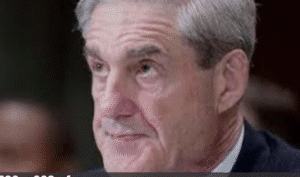 One year after Mueller's free-for-all began the costs are incredibly high and Putin is the only real winner