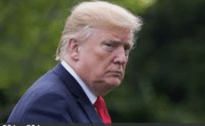 Democrats ignore Trump’s immigration plan at their peril