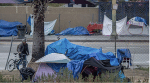 Bernie Sanders's housing plan would increase homelessness