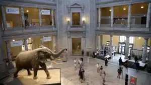 Trump declares war on woke—and this beloved museum is in his crosshairs
