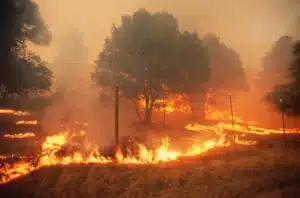 California's Wildfire Rebuild Stalls: Just 34 Homes Completed in 15 Months as Newsom and Bass Fall Short on Commitments