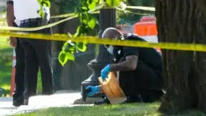 Trained Secret Service Team Thwarts Armed Gunman in Incident Near White House